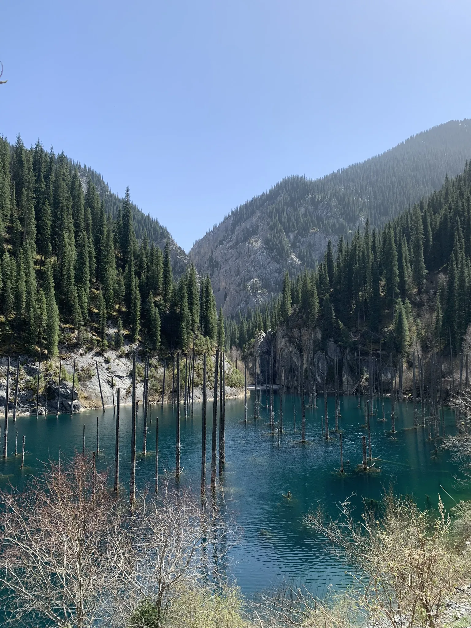 Кольсайские озёра — горное озеро среди тянь-шаньских елей — 3